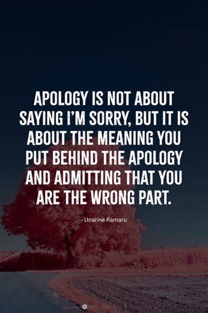 101 Epic Quotes Of Excuses: When Sorry Just Isn't Enough