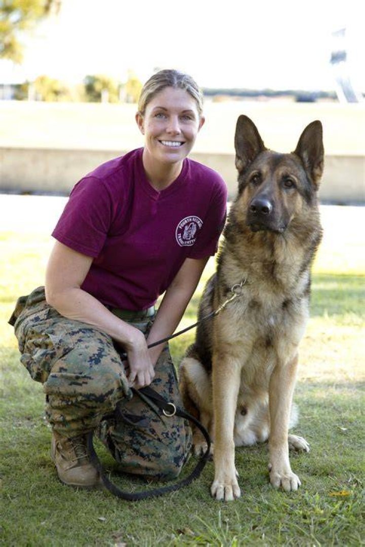 13 best Megan Leavey images on Pinterest Megan leavey, Kate mara and
