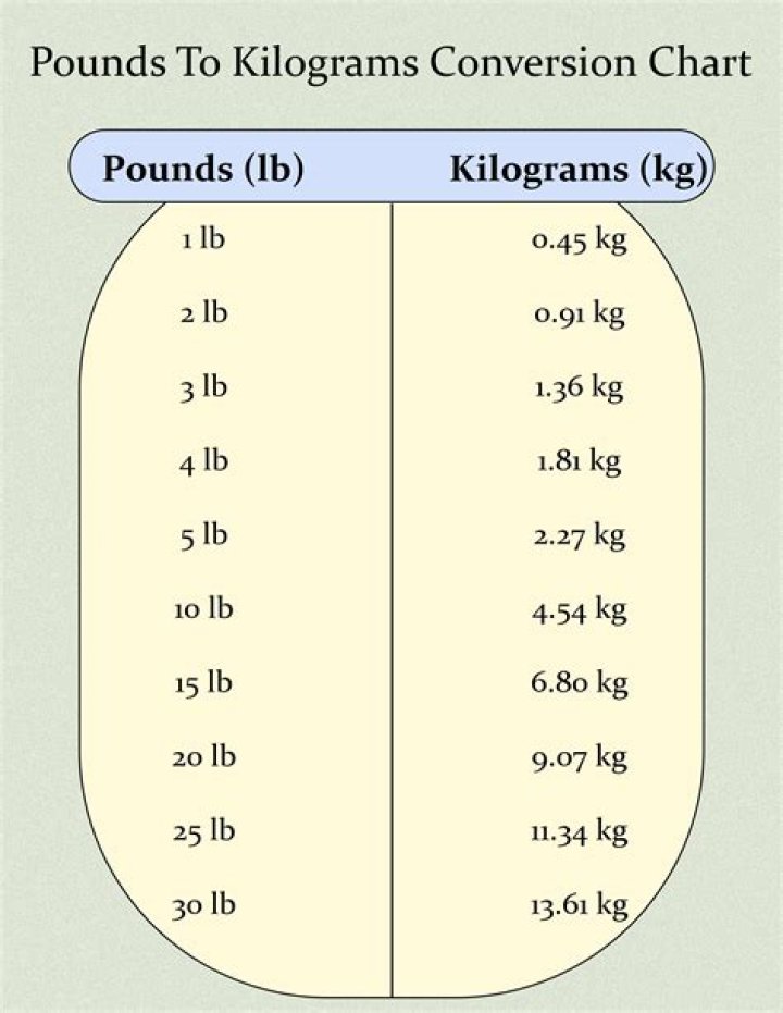 2.9 Pounds To Kilograms Converter