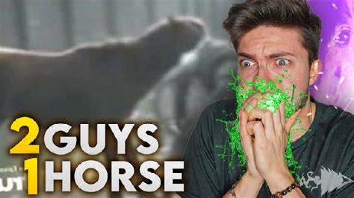 2 Guys 1 Horse YouTube