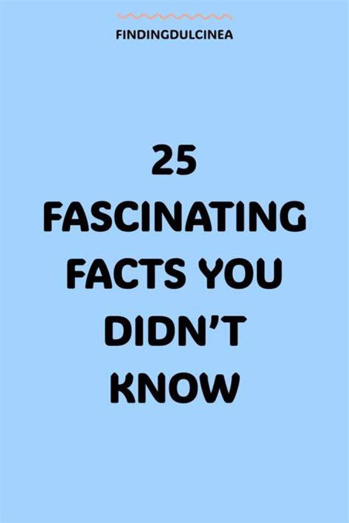 25 Facts You Didn't Know About "Seinfeld" Obsev