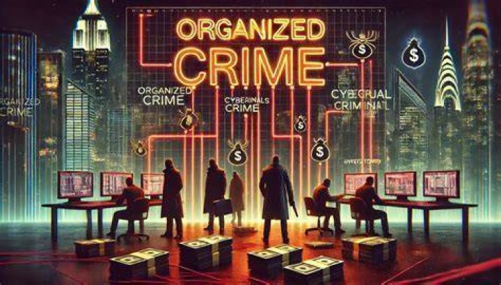 A Deep Dive Into Organized Crime