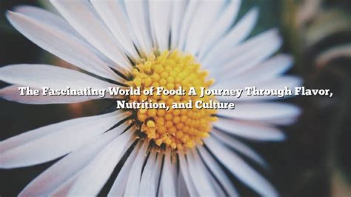 A Journey Of Flavor And Nutrition