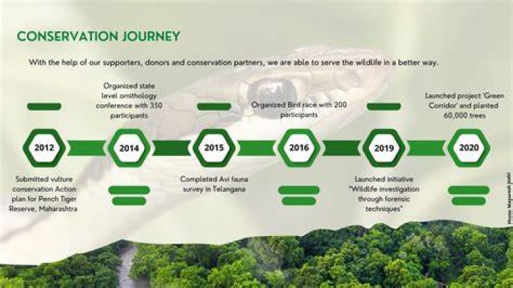 A Journey Of Joy And Conservation