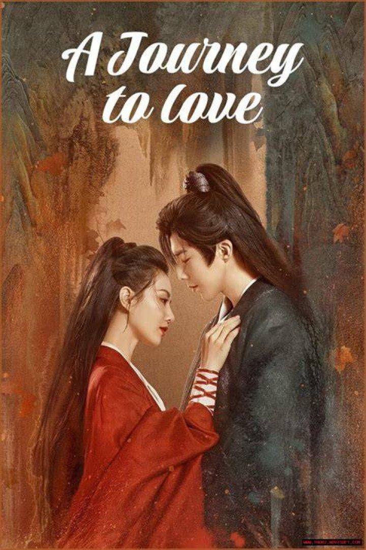 A Journey Of Love, Privacy, And Values