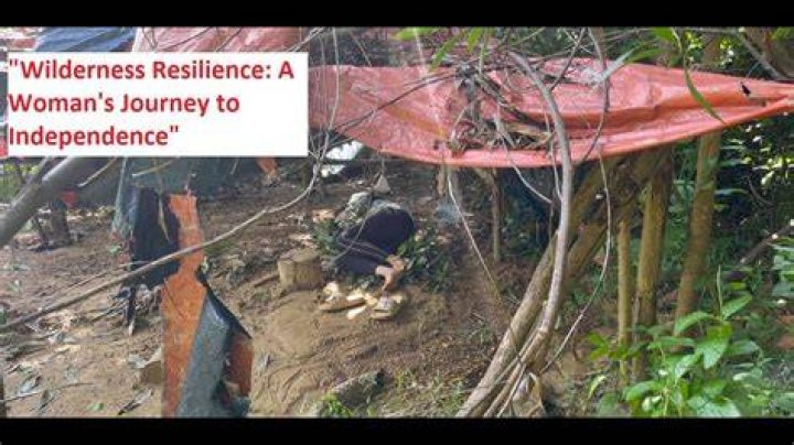 A Journey Of Resilience And Wilderness
