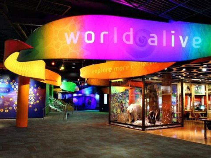 A Place Of Discovery And Delight