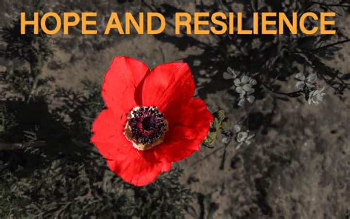 A Story Of Resilience And Hope