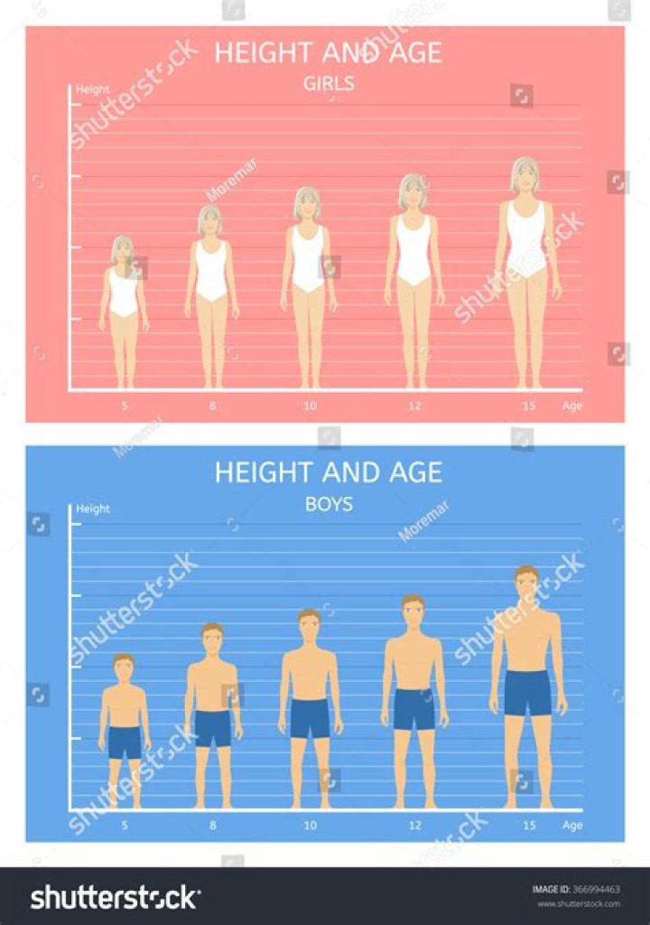 Age, Height, And More Revealed