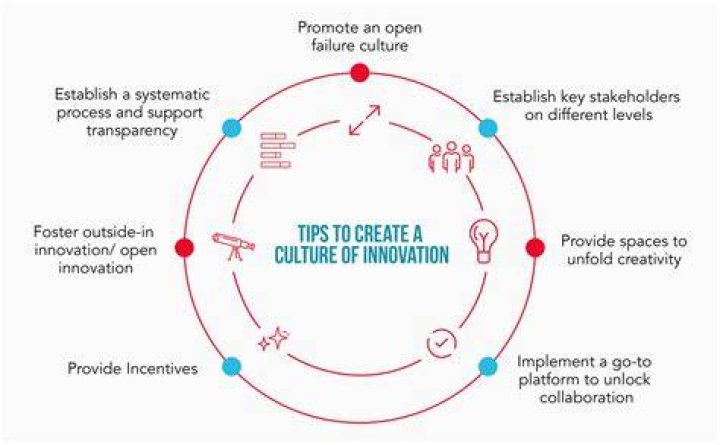 An Exploration Of Excellence, Innovation, And Impact