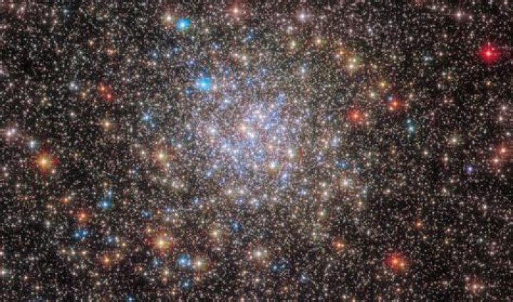 An image of stelle