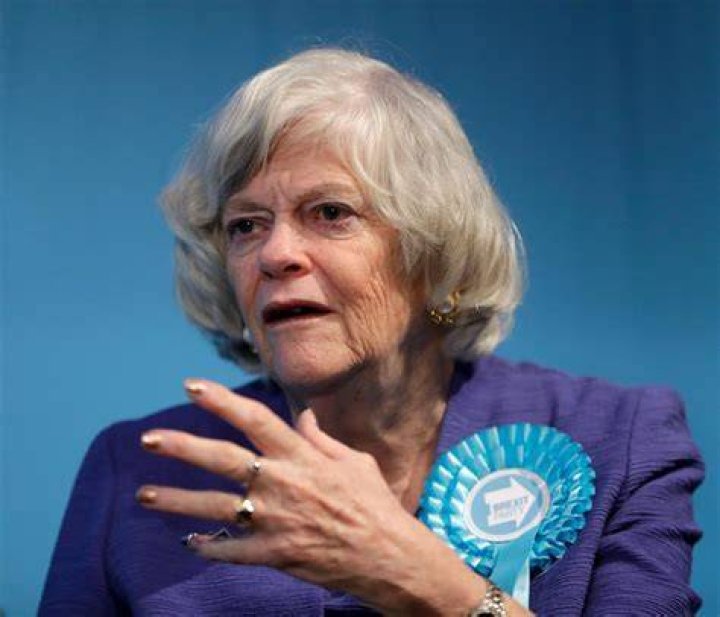 Ann Widdecombe's Stance On Same-Sex Marriage And Adoption: Uncovering The Details