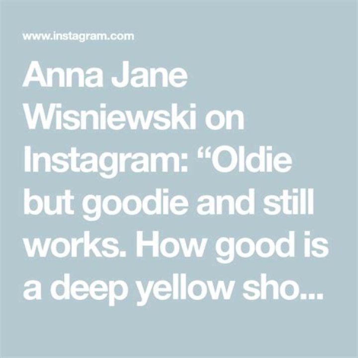 Anna Jane Wisniewski on Instagram &ldquo;I bought my first shopclarev bag