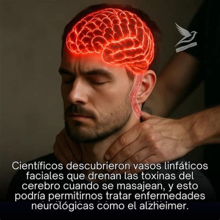 Así fue cómo descubrieron los cuerpos de la actriz de cine para adultos