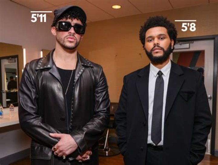 Bad Bunny Height (With Visual Comparison) Heartafact