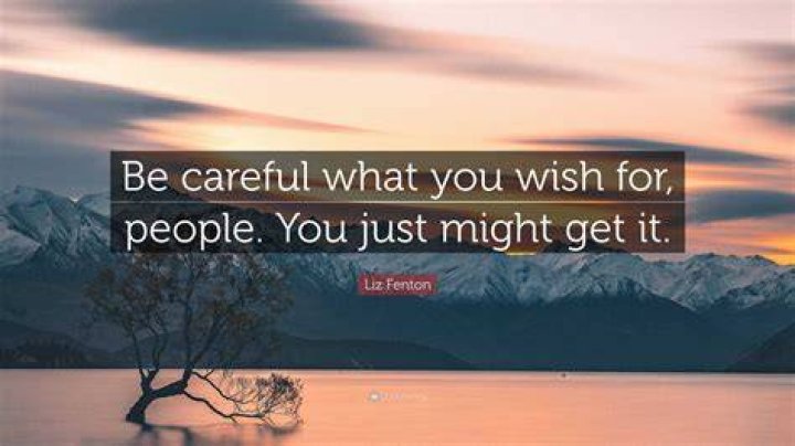 Be Careful What You Wish for Book by Cheryl Faye Official Publisher