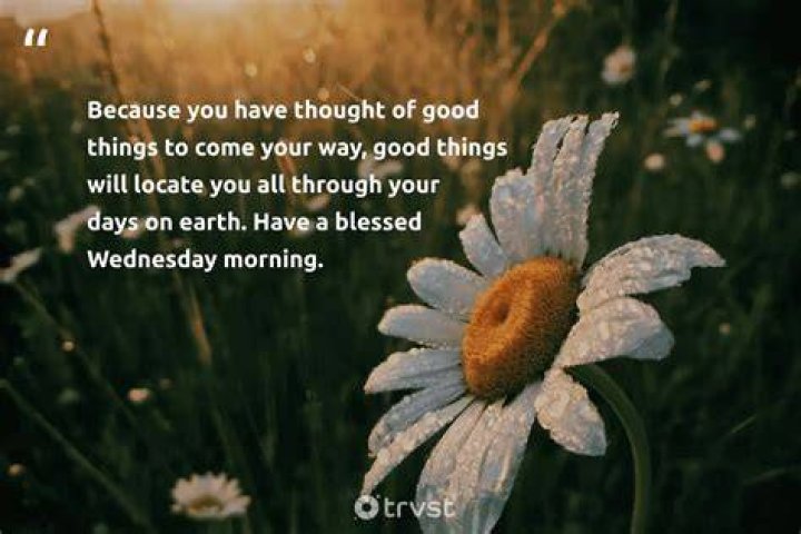 Best 30+ Wednesday Quotes With Images in 2024 Images Vibe