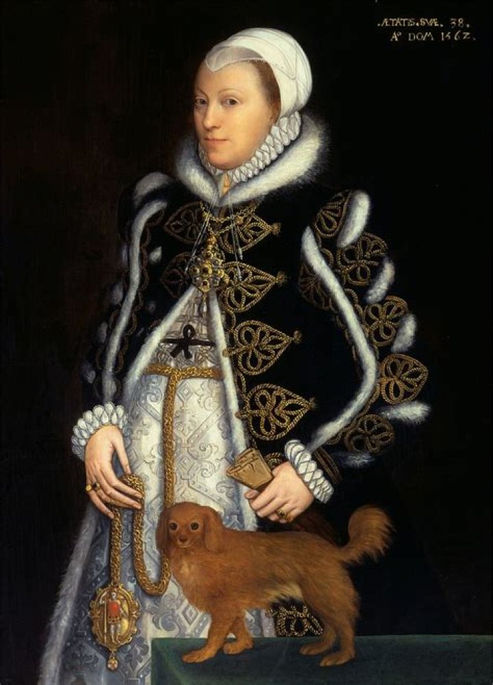 Biography Catherine Carey Adventures of a Tudor Nerd