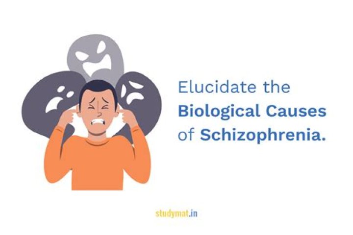 Biological Causes of Schizophrenia. STUDYMAT