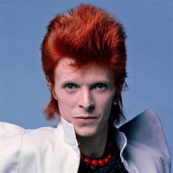 blog David Bowie I was never really bisexual.
