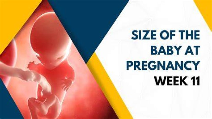 Can you feel your baby at 11 weeks?