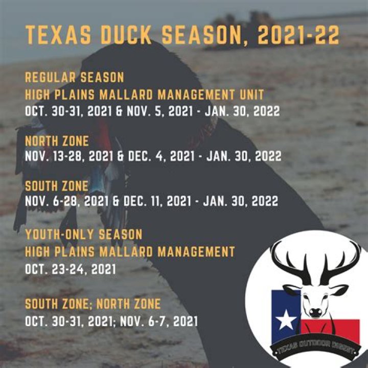 Can you shoot teal during duck season Texas?