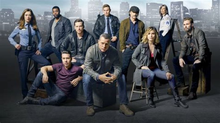 Chicago Police Chicago Pd Cast, Chicago Family, Chicago Shows, Chicago