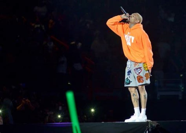 Chris Brown's Six Pack Get Ready to Drool Over His Chiseled Abs!