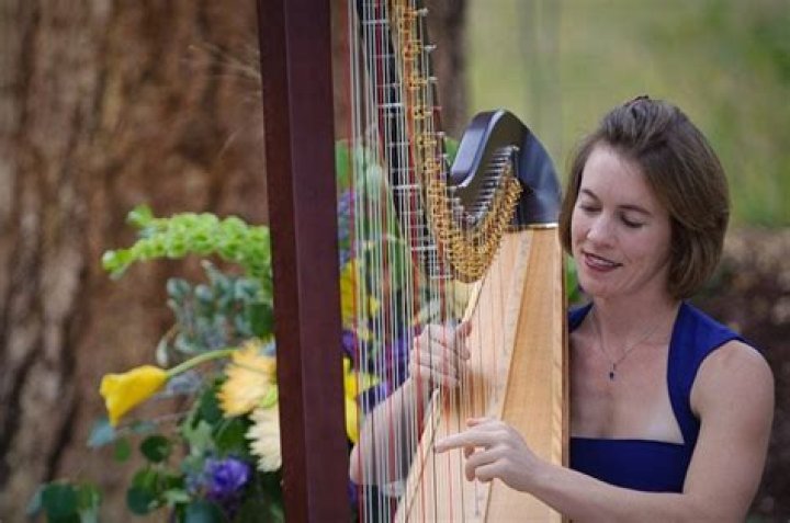 Colorado Harpist Erin Newton Musicians Arvada, CO Phone Number Yelp