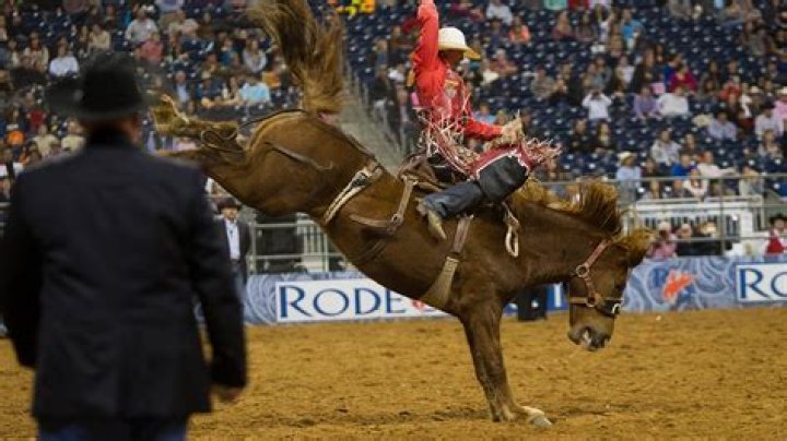 Conley Spencer's Horse Accident And Its Impact On Rodeo Safety