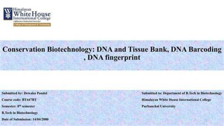 Conservation of Material — DNA Replication Expii