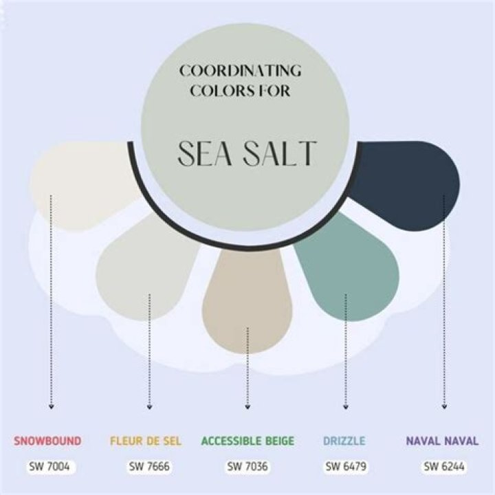 Coordinating Colors For Sea Salt by Sherwin Williams. When you start a