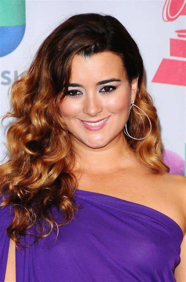 Cote De Pablo: Latest News, Today And Beyond