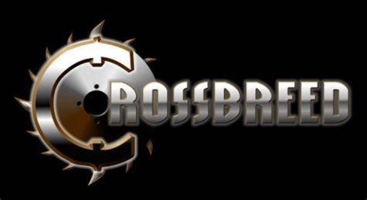 Crossbreed Archives