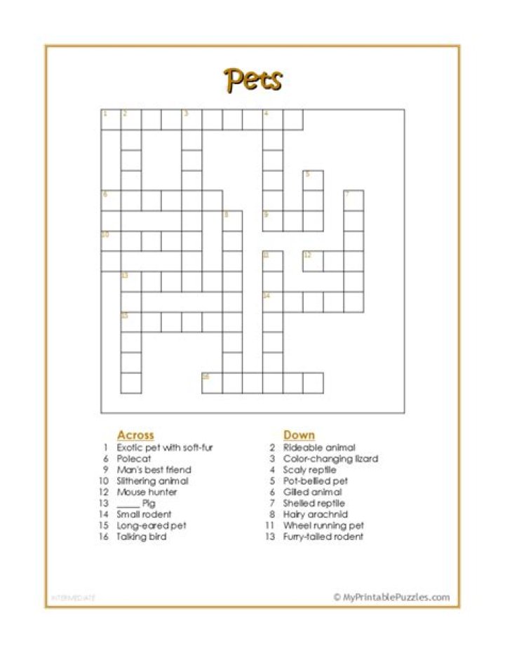 Crossword Puzzle Pets Anywhere Teacher