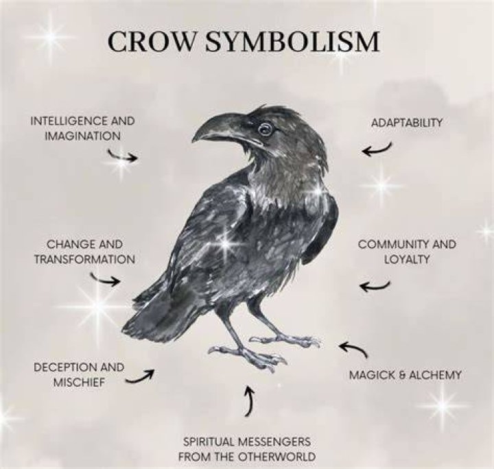 Crow Symbolism and Meaning 11 Spiritual Meanings of Crows Sarah Scoop