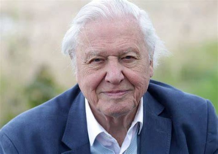 David Attenborough net worth 2017 Can YOU guess the Blue