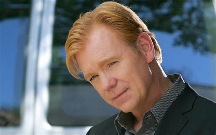 David Caruso Profile Images &mdash; The Movie Database (TMDB)