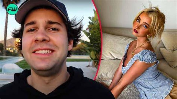 David Dobrik's Controversies Exposed On Reddit