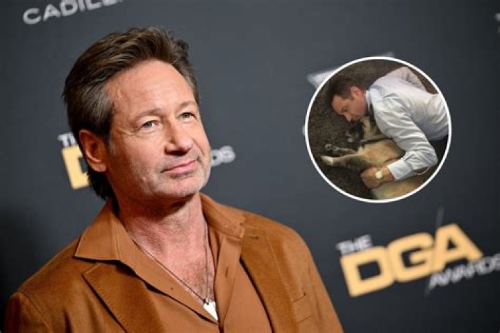 David Duchovny's Daughter Madelaine West Duchovny Biography