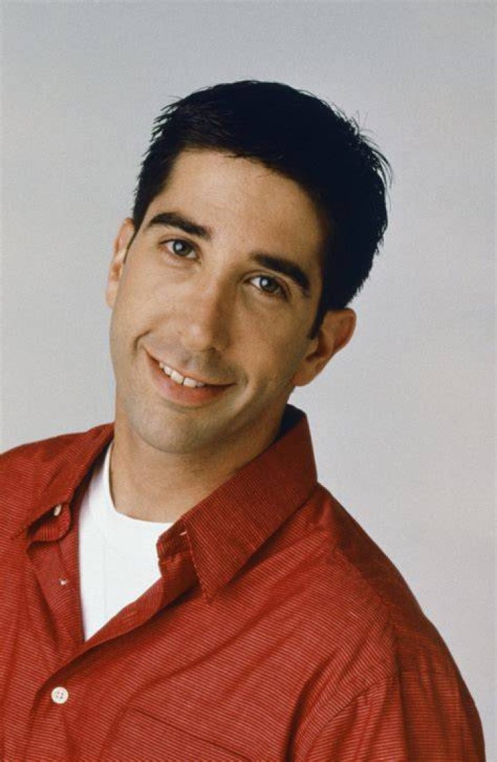 David Schwimmer, 53, honours his 'amazing' sister Ellie, 54 Daily