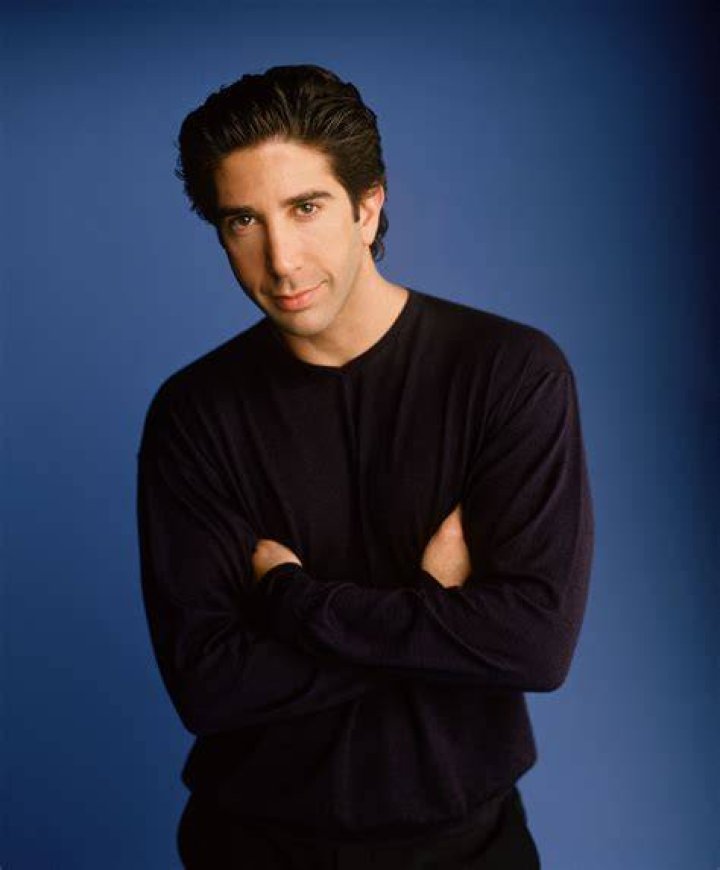 David Schwimmer Ross Geller Ross Geller Photo (16258927) Fanpop