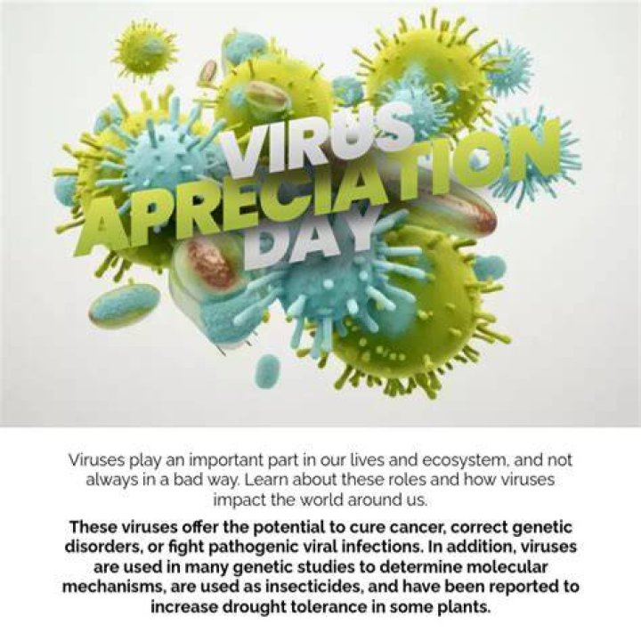 Day 9 電腦病毒VS蠕蟲 (Virus vs Worm)(上) iT 邦幫忙一起幫忙解決難題,拯救 IT 人的一天