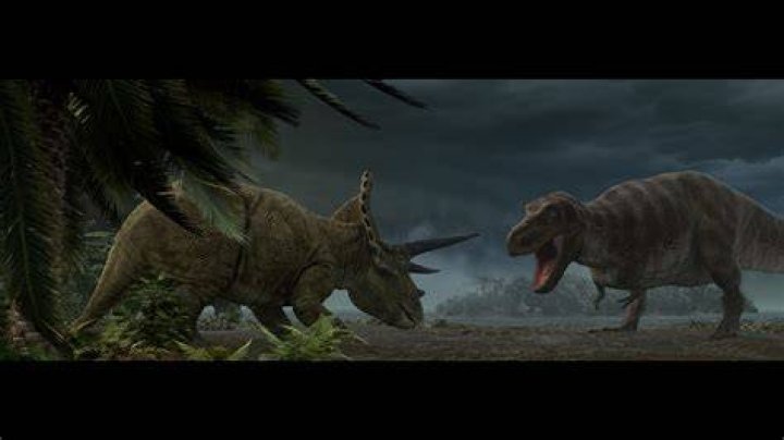 Did the T Rex Hunt Triceratops?
