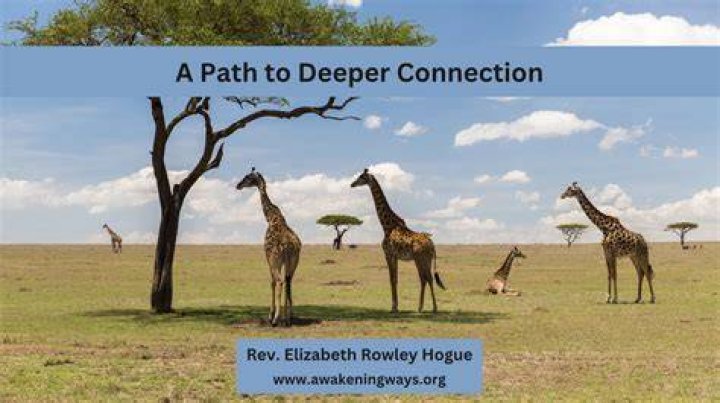 Discover The Path To Deeper Connections