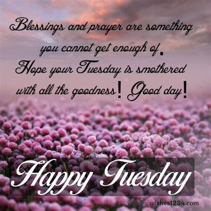 Discover The Power Of Quotes For Tuesday Blessings