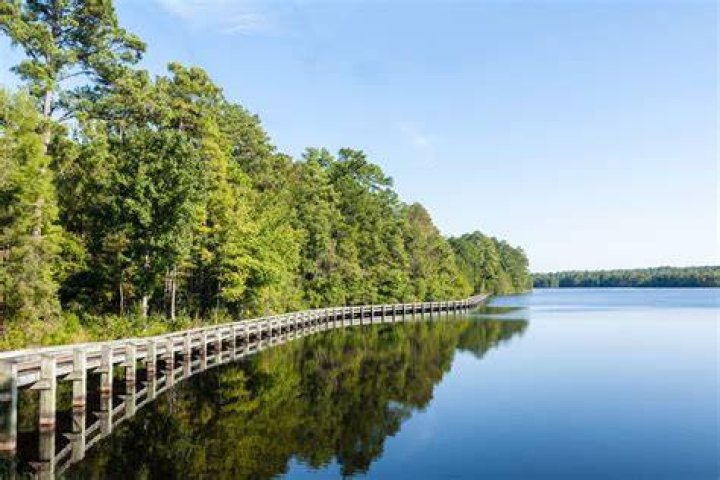 Discover The Rich History And Vibrant Culture Of Dee Block South Carolina