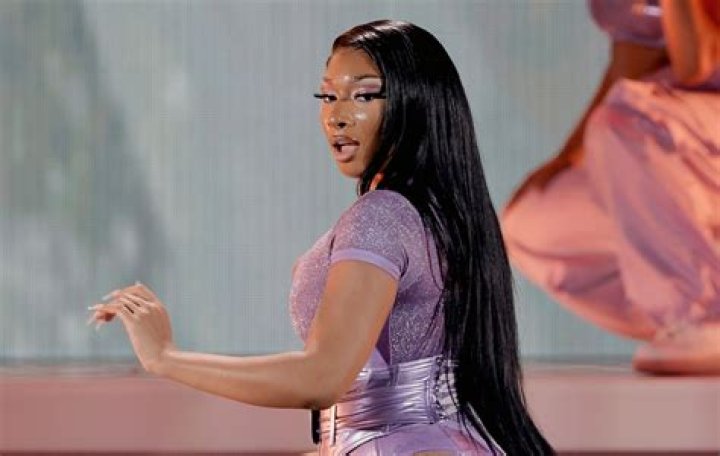 Discover The Untold Story Behind Megan Thee Stallion's Baby Pictures