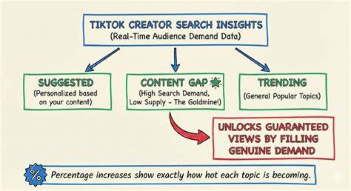 Discoveries And Insights For Content Creators