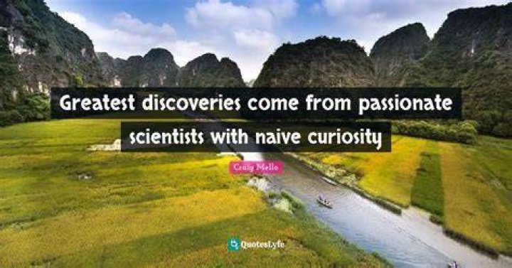 Discoveries And Insights For The Passionate